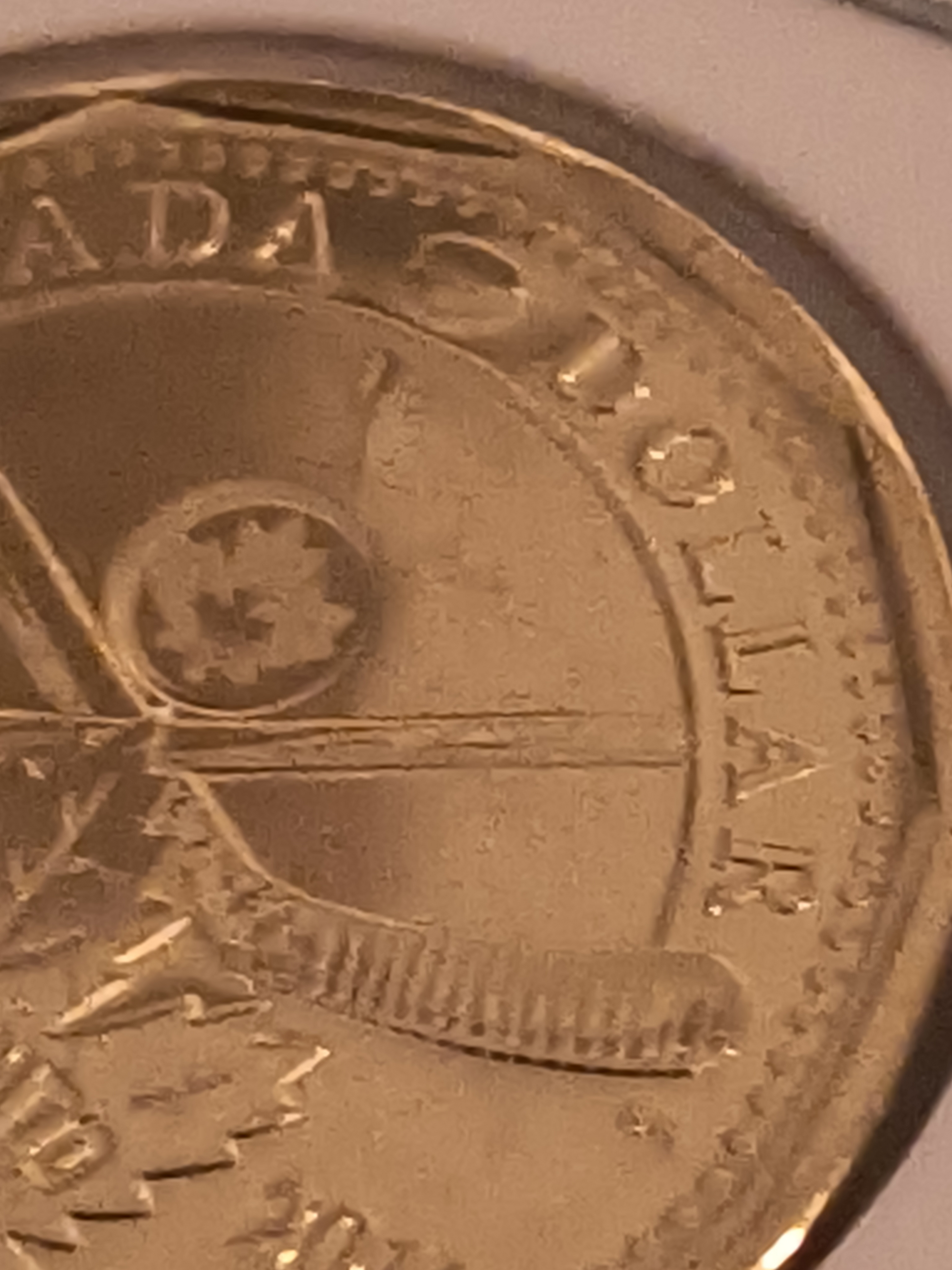 2017 Loonie MAPPLE CRACKED BY THE DIE (Maple Leaf) (MS-65)