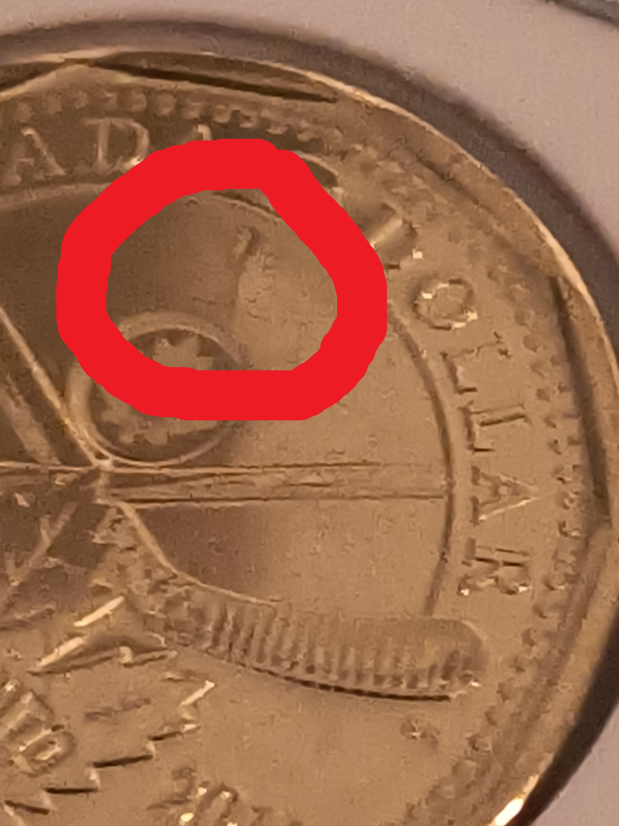 2017 Loonie MAPPLE CRACKED BY THE DIE (Maple Leaf) (MS-65)