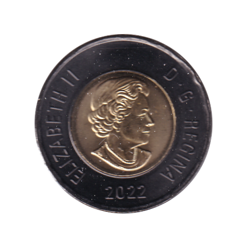 2022 Toonie ($2) BLACK RING TRIBUTE BU (MS-69) SUPER GEM NEAR PERFECT