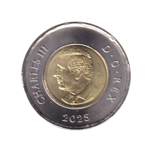 2025 Toonie (2$) Unknkown Soldier NC BU (All Mint State)