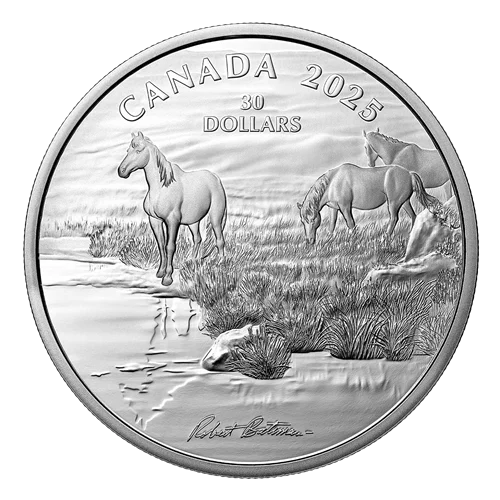 2026 Canada $5 Maple Leaf - 1 oz Silver .9999 (*2.8% DISCOUNT with e-interac)