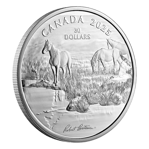 2026 Canada $5 Maple Leaf - 1 oz Silver .9999 (*2.8% DISCOUNT with e-interac)