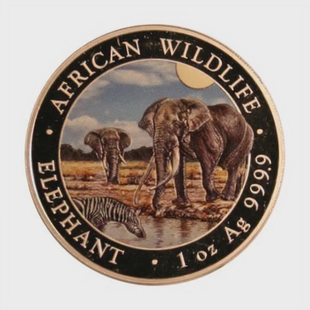 2026 Somalia 100 Shillings Color - African Wildlife Elephant - 1 oz Pure Silver .9999